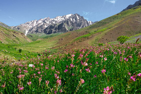 بهار «اُشترانکوه» که به سبب شباهت ظاهری قلل هشت گانهاش با کاروان شتر، شترکوه هم خوانده میشود، زیباییهای طبیعی خیره کنندهای را به طبیعت دوستان ارزانی میکند.