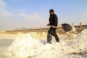 «ننه حبیب» روزانه نزدیک۵ ساعت به کار جمع آوری نمک مشغول است.