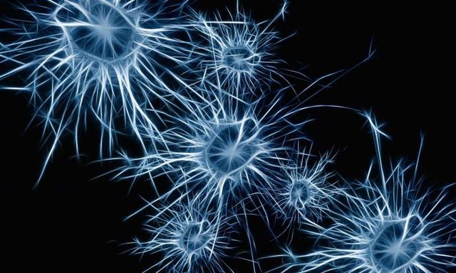 توسعه یک روش ژن‌درمانی جدید برای ایجاد نورون!