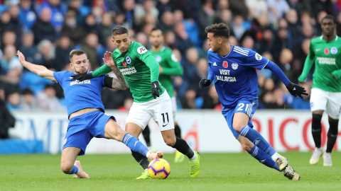 شکست برایتون بدون حضور علیرضا جهانبخش