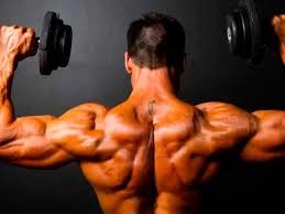 عضلات بدن با کمک این دو پروتئین شکل می‌گیرند
