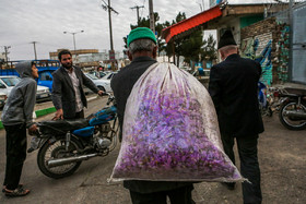 پس از برداشت زعفران حدود 2 ماه بازار فروش آن یکی از پرهیاهو و پرسروصداترین اماکن تربت حیدریه است. 