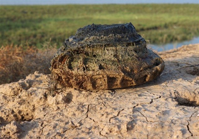  توضیحات سردار باقرزاده درباره انفجار مین حین عملیات کاوش پیکرهای شهدا