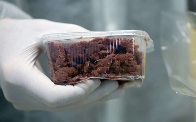 گوشت مصنوعی به سبد غذایی مردم وارد می‌شود