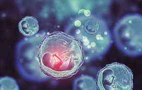 تصویب بیش از ۱۵ طرح تحقیقاتی در مورد سلول‌های بنیادی