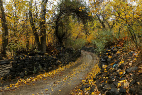 ایران زیباست؛ کوچه باغهای پاییزی گنجنامه - همدان