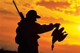 زهک؛ منطقه شکار ممنوع پرندگان