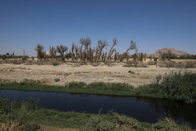 پوک شدن بسیار سریع (در عرض 4 الی 5 سال)خاک اطراف رودخانه به دلیل فسفات و ازت بسیار زیادی که در "پساب زاینده رود "وجود دارد.
