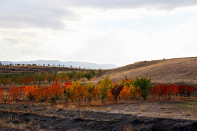 ایران زیباست؛ پاییز در شهرستان «اهر»