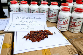 نوزدهمین مرحله طرح رعد