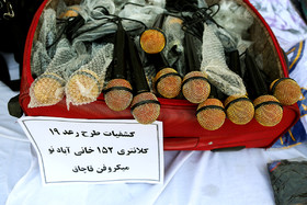 نوزدهمین مرحله طرح رعد