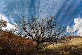 ایران زیباست؛ پاییز در روستای «حسنجون»