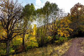 ایران زیباست؛ پاییز در روستای «حسنجون»