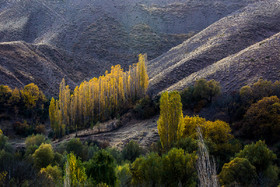 ایران زیباست؛ پاییز در روستای «حسنجون»