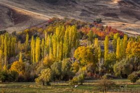 ایران زیباست؛ پاییز در روستای «حسنجون»