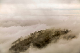 ایران زیباست؛ پاییز در «هالی دشت»