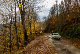 ایران زیباست؛ پاییز در «هالی دشت»