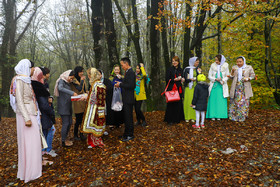 عروس و داماد در حال پذیرایی از  دوستان، دختران فامیل و همسایه‌ها در جنگل
