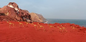 اسکلت‌هایی که در ساحل می‌دوند!