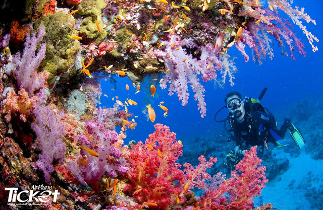 بهترین زمان سفر هوایی به جزیره کیش 