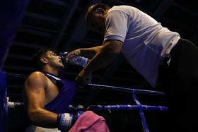 بوکس در سال۹۷/ از درهای بسته اتاق ناطق تا پخش تلویزیونی و راه‌اندازی بوکس بانوان