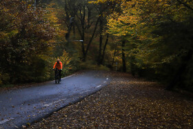 ایران زیباست؛ پاییز در جنگلهای النگدره شهر گرگان