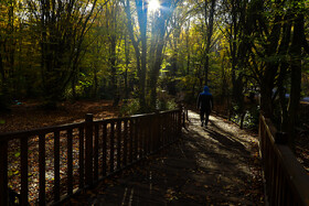 ایران زیباست؛ پاییز در جنگلهای النگدره شهر گرگان