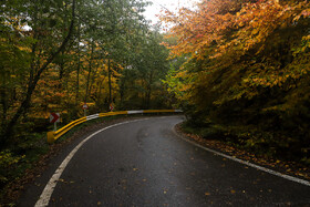 ایران زیباست؛ پاییز در جنگلهای النگدره شهر گرگان