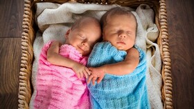 بیشتر نوزادان بوشهری "شهریور" به دنیا آمده‌اند