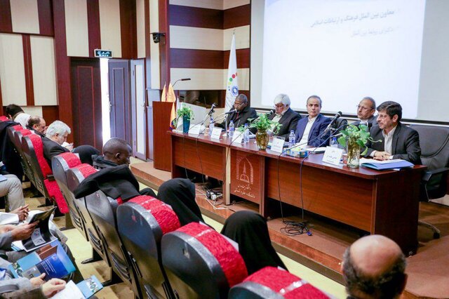 خامه‌یار: بیزاری مردم آفریقا از استعمار نوین نمادی از وحدت و انسجام است