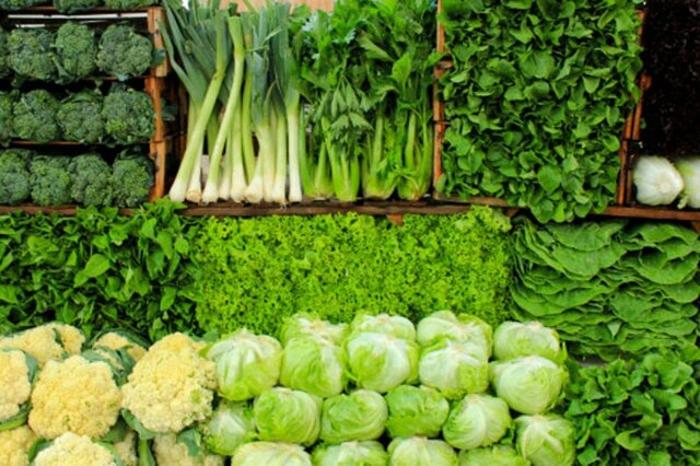 اجرای طرح مزرعه خانوادگی برای داشت و برداشت سبزی های خوراکی