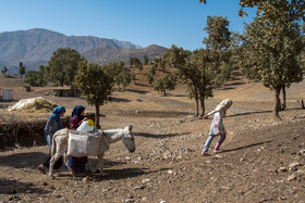 آوردن آب یکی از کار های روزمره دختران و زنان روستا است. 