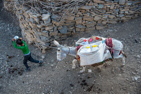 کودکان روزانه چندین بار برای آوردن آب مسیر روستا تا چشمه را طی می‌کنند. 