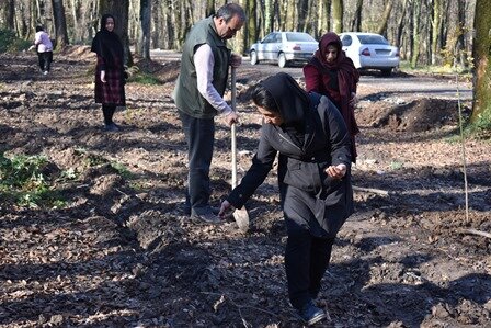 اجرای طرح ملی «جنگلانه» در پارک جنگلی امام رضا(ع) کردکوی