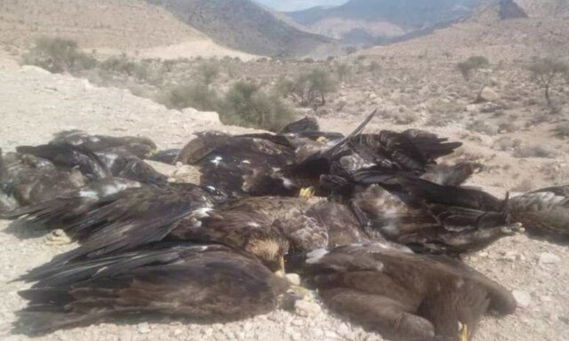 مرگ عقاب‌های فارس