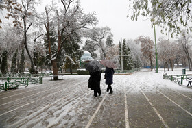 بارش برف در قزوین