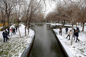 بارش برف در قزوین