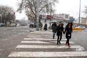 بارش برف در قزوین