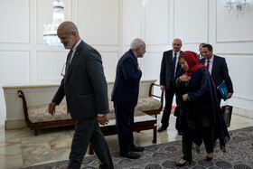 دیدار محمد جواد ظریف، وزیر امورخارجه کشورمان با عبدالحمید سی عفیف، رئیس کمیسیون سیاست خارجه الجزایر   و هیئت همراه