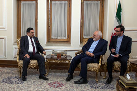عبدالحمید سی عفیف، رئیس کمیسیون سیاست خارجه الجزایر در دیدار با محمد جواد ظریف، وزیر امورخارجه