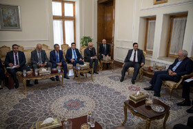 عبدالحمید سی عفیف، رئیس کمیسیون سیاست خارجه الجزایر در دیدار با محمد جواد ظریف، وزیر امورخارجه