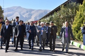 بازدید معاون وزیر صنعت از مجموعه فرش ذوالانواری + عکس