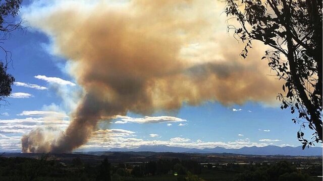 وقوع آتش‌سوزی مهیب جنگلی در نیوزیلند 