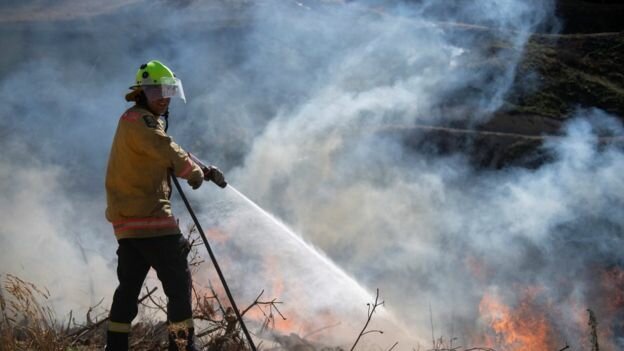 تخلیه هزاران نفر با پیش‌بینی آتش‌سوزی شدید در نیوزیلند 