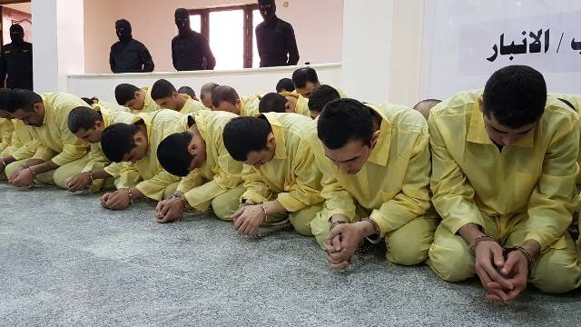 بازداشت حدود ۲۰۰ تروریست در الرمادی عراق
