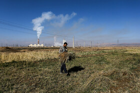 يكي از کشاورزان شهر فامنين با اشاره با اينكه كشاوررزي در منطقه از رونق افتاده و شدت خشكي زمين به حدي است كه حتي در عمق 200 متري زمين نيز نمي توان به آب رسيد و عملا نيروگاه باعث از بين رفتن كشاورزي در منطقه فامنين و كبودر آهنگ شده است.
