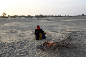 علاوه بر خشکسالی و کاهش بارشها، انسانها نیز از دیگر عوامل مهم در تخریب پوشش گیاهی و ایجاد شنهای روان در منطقه است.