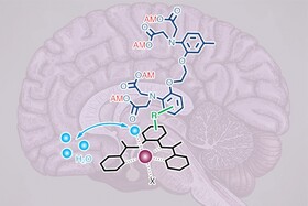 بررسی عمیق مغز با کمک یک حسگر جدید