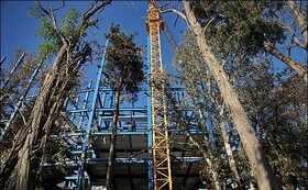 ۱۰۳ هکتار از باغ‌های پایتخت به برج تبدیل شد