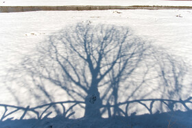 یک خبر خوش برای منابع آب ایران